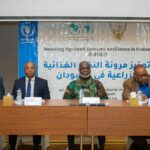 وزارة الطاقة تنفي نقص الوقود وتكشف أسباب ازدحام محطات البنزين