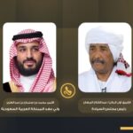 دعم سعودي يعزز الخدمات الصحية في البحر الأحمر