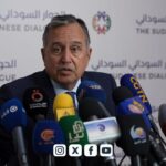 الجنيه المصري يواصل هبوطه أمام الدولار